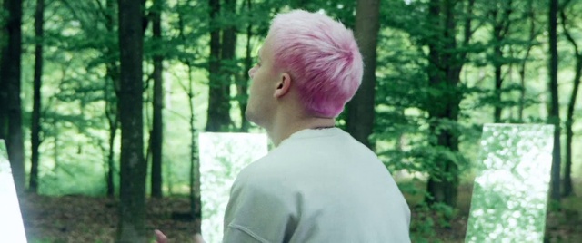 Video Reference: Hair, People in nature, Plant, Tree, Wood, Gesture, Grass, Forest, T-shirt, Natural landscape