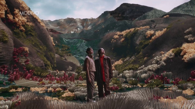 Video Reference: Sky, Mountain, Cloud, Ecoregion, Plant, Nature, Leaf, Highland, Landscape, Morning