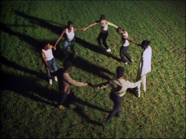 Video Reference: People in nature, Gesture, Flash photography, Grass, Plant, Leisure, Happy, Lawn, Recreation, Event