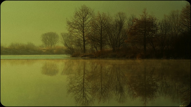 Video Reference: Water, Sky, Ecoregion, Natural landscape, Tree, Branch, Plant, Wood, Grass, Bank