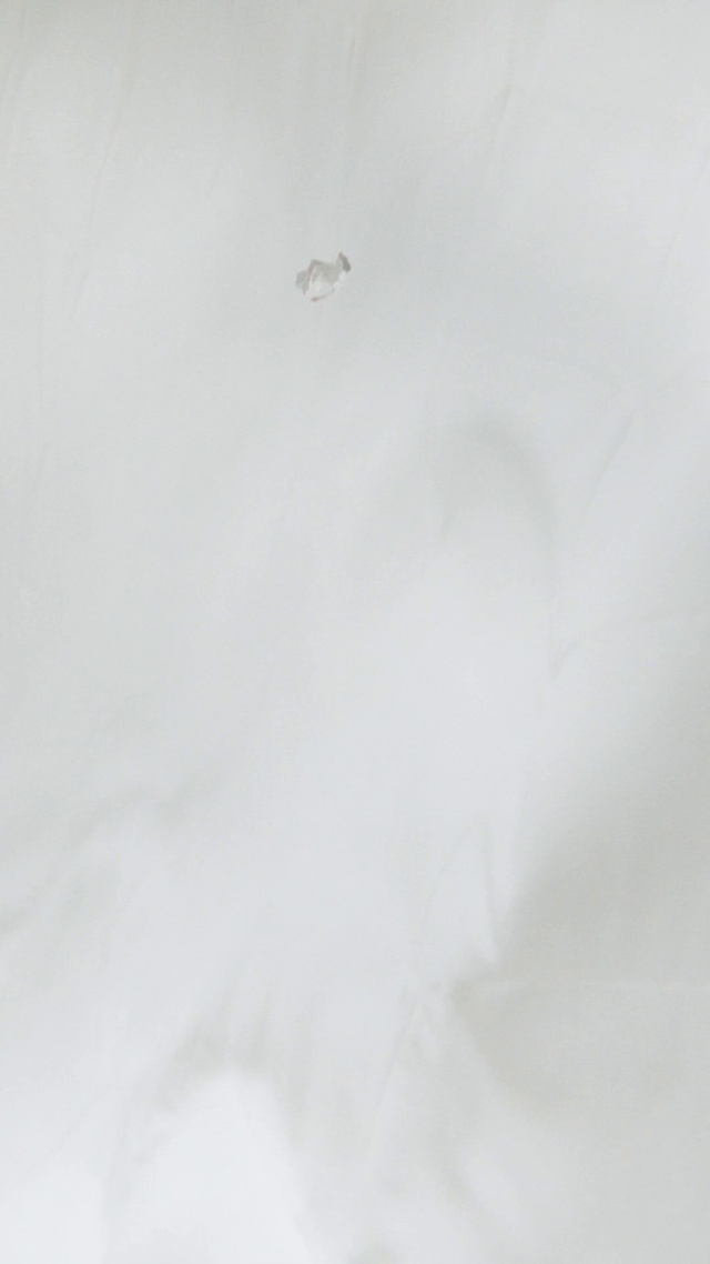 Video Reference: Slope, Event, Haze, Mist, Snow, Monochrome photography, Monochrome, Cumulus, Fog, Winter