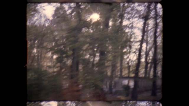 Video Reference: Window, Plant, Wood, Fixture, Twig, Rectangle, Tints and shades, Tree, Glass, Trunk