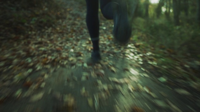 Video Reference: Plant, People in nature, Terrestrial plant, Wood, Trunk, Tree, Road surface, Tints and shades, Grass, Flooring