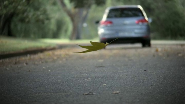 Video Reference: Tire, Car, Land vehicle, Vehicle, Automotive tail & brake light, Plant, Wheel, Automotive lighting, Automotive tire, Motor vehicle