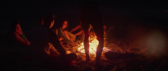 Video Reference: Bonfire, Fire, Flame, Campfire, Wood, Heat, Ash, Landscape, Event, People in nature