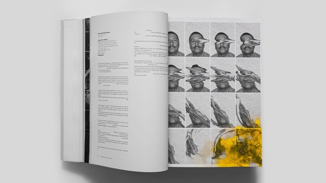 Video Reference: Book, Plant, Publication, Font, Art, Rectangle, Paper, Paper product, Graphic design, Illustration
