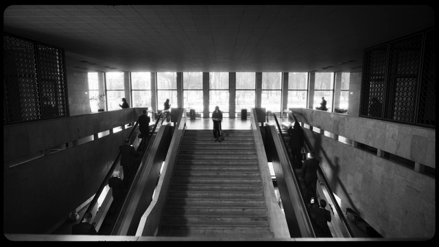 Video Reference: Flash photography, Stairs, Window, Black-and-white, Wood, Fixture, Symmetry, Tints and shades, Parallel, City
