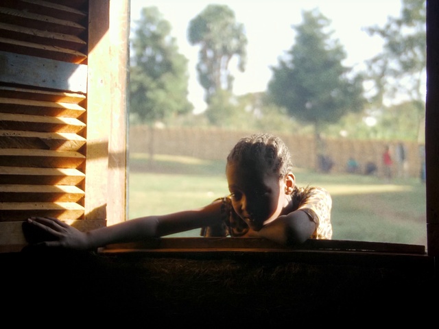 Video Reference: Flash photography, Sunlight, Tree, Sky, Wood, Happy, Morning, Shade, Tints and shades, Leisure