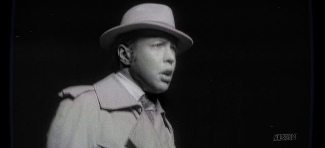 Video Reference: Chin, Hat, Fedora, Flash photography, Sun hat, Dress shirt, Headgear, Entertainment, Collar, Music artist