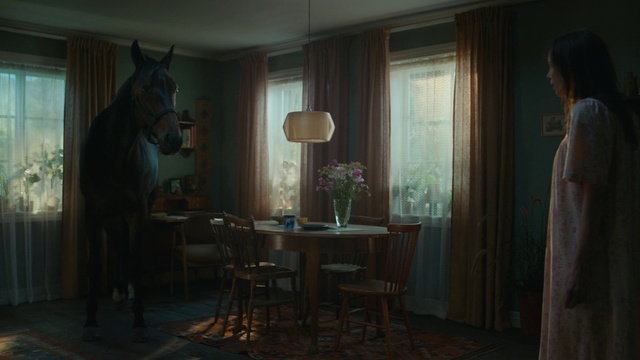Video Reference: Horse, Window, Table, Building, Interior design, Wood, Chair, Houseplant, Curtain, Plant