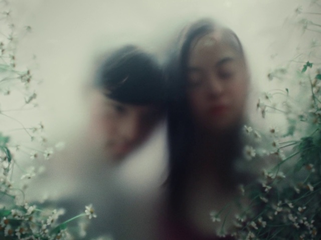 Video Reference: Eyebrow, Sky, People in nature, Flash photography, Branch, Happy, Organism, Sunlight, Atmospheric phenomenon, Grass