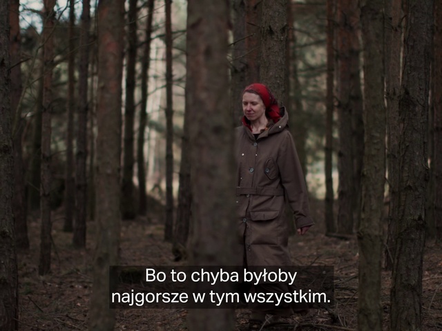 Video Reference: Plant, People in nature, Flash photography, Wood, Tree, Happy, Natural landscape, Cap, Forest, Trunk