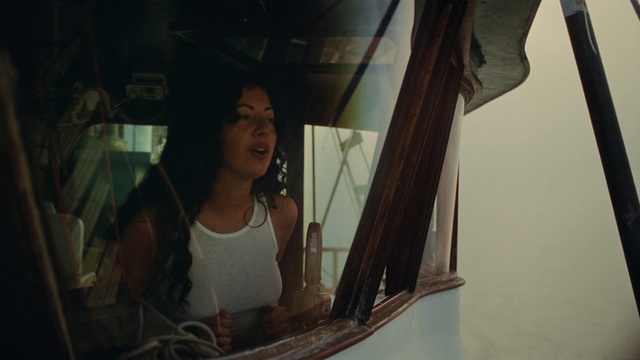 Video Reference: Flash photography, Wood, Tints and shades, Vehicle door, Fun, Leisure, Cg artwork, Glass, Darkness, Room