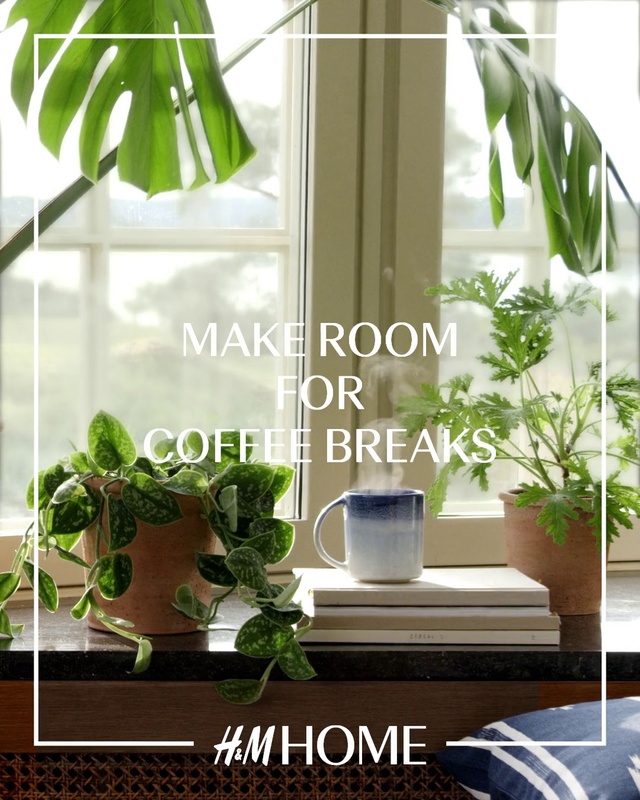 Video Reference: Plant, Window, Houseplant, Green, Leaf, Botany, Fixture, Interior design, Drinkware, Flowerpot