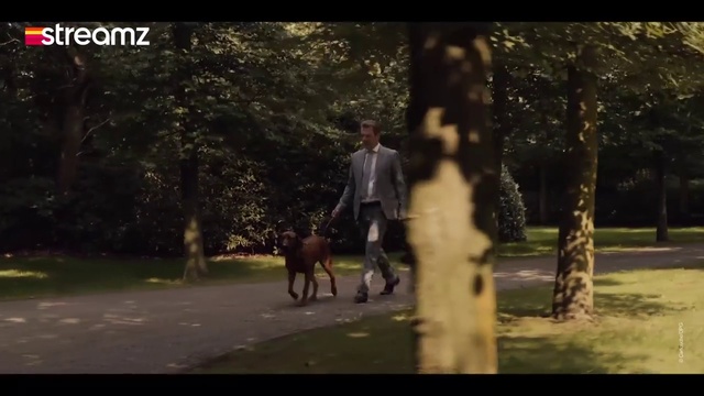 Video Reference: Plant, Dog, Tree, People in nature, Flash photography, Dog breed, Carnivore, Gesture, Working animal, Fawn