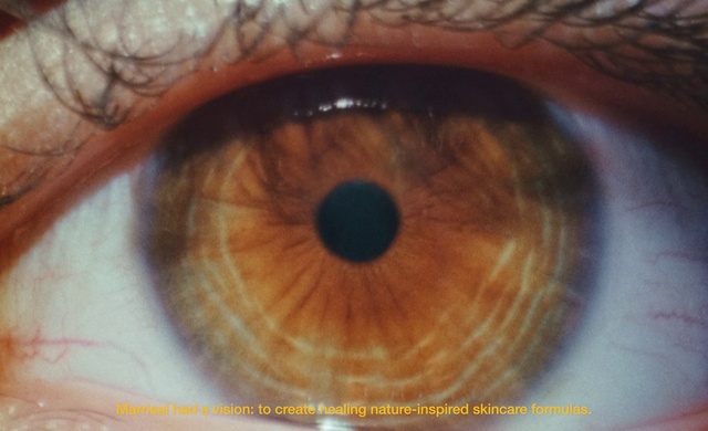 Video Reference: Brown, Eye, Eyelash, Human body, Wood, Material property, Musical instrument, Nerve, Snout, Circle