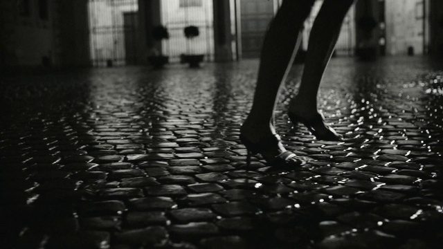 Video Reference: Water, Shoe, Leg, White, Black, Road surface, Black-and-white, Wood, Standing, Flooring