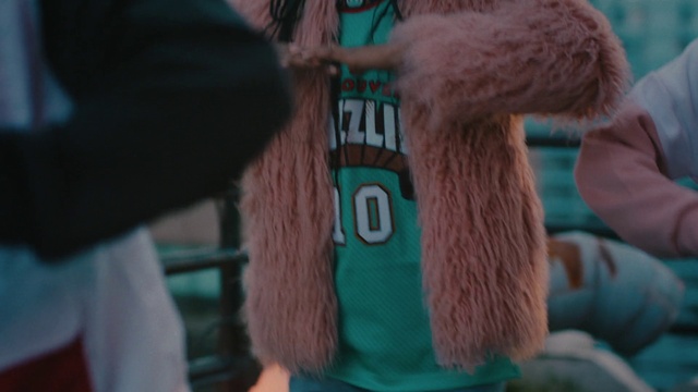 Video Reference: Azure, Fur clothing, Textile, Gesture, Fawn, Toy, Jersey, Electric blue, Snout, Sportswear