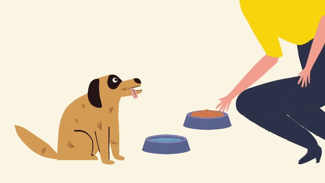 Video Reference: Dog, Carnivore, Gesture, Dog breed, Cartoon, Working animal, Art, Companion dog, Pet supply, Dog supply