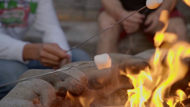 Video Reference: Fire, Flame, Ash, Gas, Cooking, Heat, Bonfire, Cuisine, Event, Service