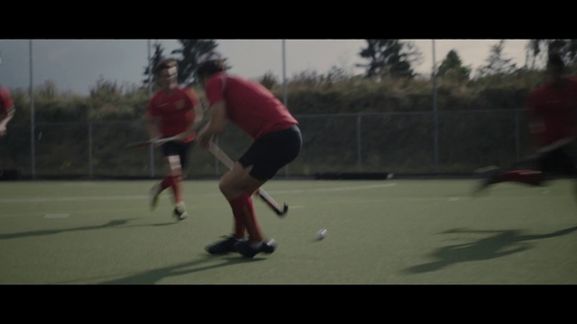 Video Reference: Sports equipment, Hockey, Field hockey, Sky, Tree, Ball, Asphalt, Player, Sports gear, Stick and Ball Sports