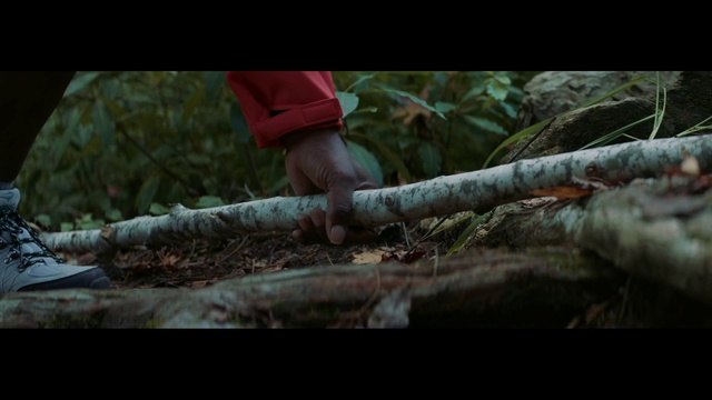 Video Reference: Natural environment, Wood, Shorts, Terrestrial plant, Adaptation, Grass, Shotgun, Elbow, Forest, Soldier
