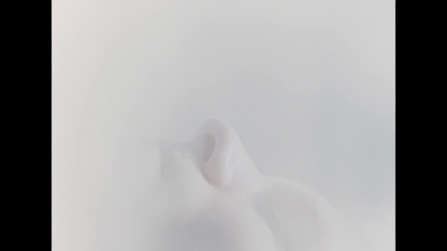 Video Reference: Gesture, Grey, Art, Event, Sky, Rectangle, Transparent material, Visual arts, Monochrome photography, Still life photography