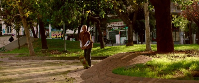 Video Reference: Plant, Tree, Road surface, Grass, Sunlight, Asphalt, Neighbourhood, Leisure, Wood, Recreation