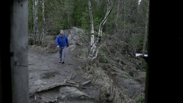 Video Reference: Plant, Plant community, Tree, Wood, Natural landscape, Trunk, Bedrock, Forest, Recreation, Temperate broadleaf and mixed forest