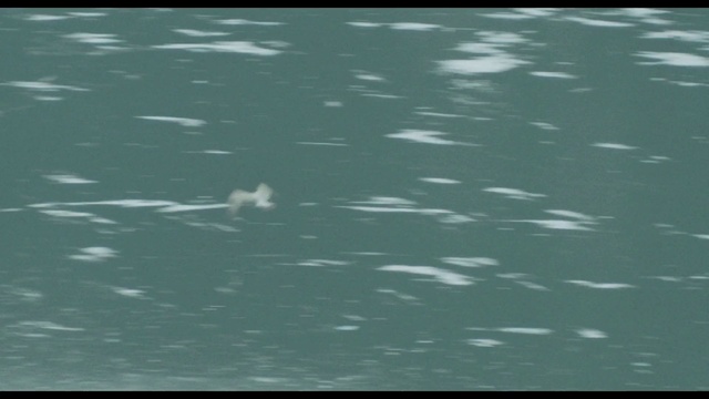 Video Reference: Water, Liquid, Fluid, Rectangle, Aqua, Font, Electric blue, Pattern, Lake, Marine biology