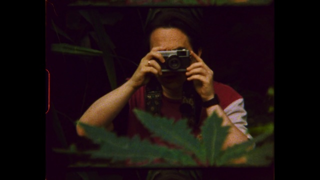 Video Reference: Photographer, Plant, Camera, Reflex camera, Camera lens, Digital camera, Flash photography, Single-lens reflex camera, Mirrorless interchangeable-lens camera, Digital SLR