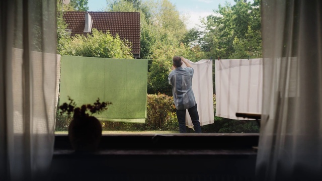 Video Reference: Plant, Leaf, Sky, Grass, Sunlight, Wood, Tree, Shade, Curtain, Real estate