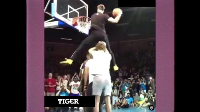 Video Reference: Basketball, Sports uniform, Shorts, Sports equipment, Basketball moves, Basketball hoop, Field house, Basketball player, Player, Sportswear