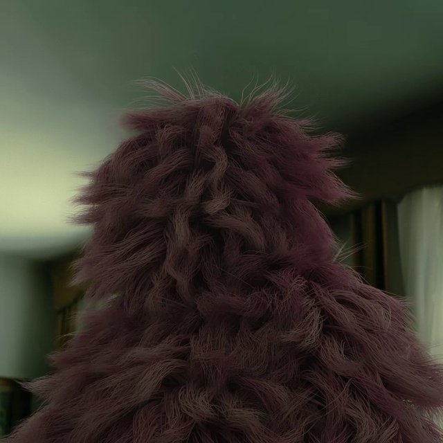 Video Reference: Wood, Headgear, Feather, Terrestrial plant, Wool, Whiskers, Art, Tree, Tail, Fur