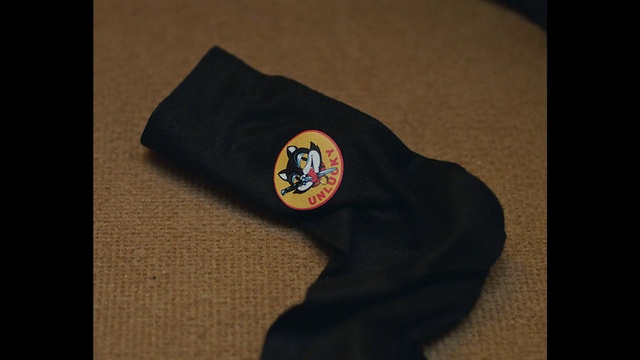 Video Reference: Shirt, Cap, Sleeve, Jersey, Gesture, Jacket, Badge, T-shirt, Sportswear, Collar