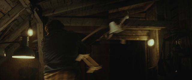 Video Reference: Flash photography, Wood, Tints and shades, Midnight, Bird, Darkness, Event, Room, Hardwood, Monochrome