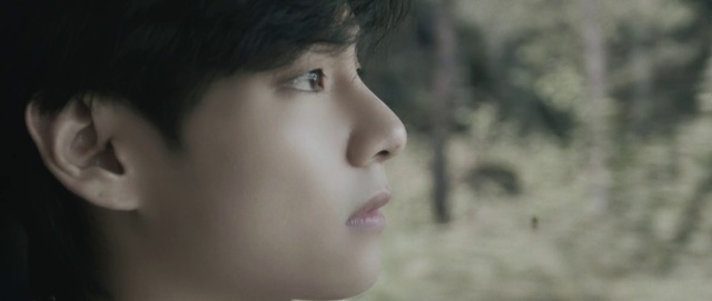 Video Reference: Forehead, Nose, Cheek, Lip, Chin, Eyebrow, Plant, Eyelash, Flash photography, Jaw