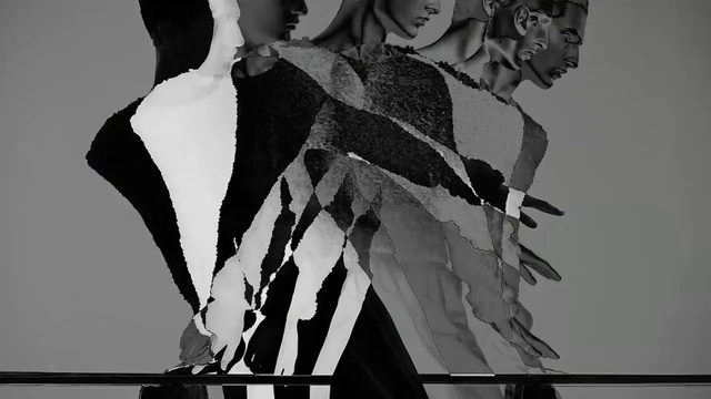 Video Reference: Black, Sleeve, Gesture, Black-and-white, Style, Plant, Font, Art, Monochrome, Monochrome photography