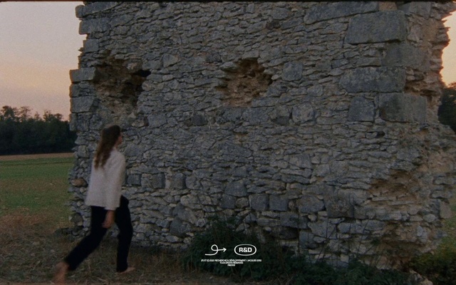Video Reference: Flash photography, Plant, Tree, Grass, Brick, Landscape, People in nature, Happy, Stone wall, Rock