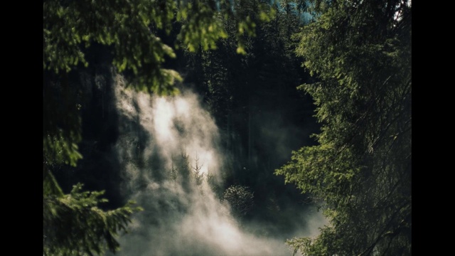 Video Reference: Water, Water resources, Plant, Natural landscape, Cloud, Wood, Watercourse, Body of water, Tree, Sky