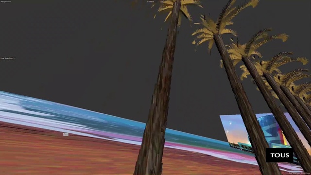Video Reference: Light, World, Wood, Arecales, Sky, Tree, Terrestrial plant, Tints and shades, Palm tree, Trunk