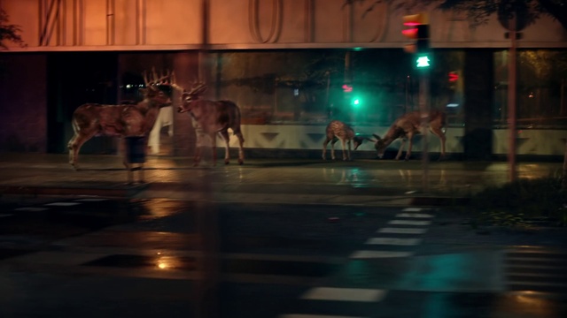 Video Reference: Light, Lighting, Window, Automotive lighting, Road surface, Traffic light, City, Midnight, Darkness, Road