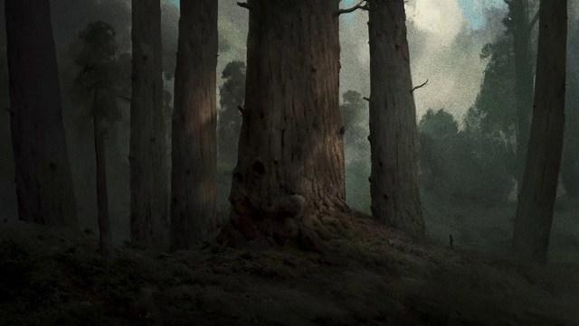 Video Reference: Atmosphere, Plant, Natural environment, Wood, Branch, Natural landscape, Trunk, Tree, Landscape, Haze