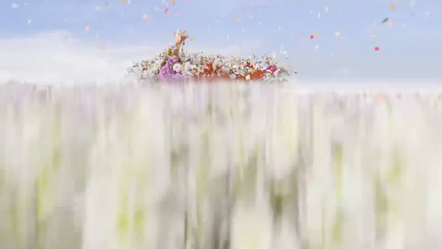 Video Reference: Plant, Natural landscape, Grass, Sky, Font, Art, People in nature, Meadow, Landscape, Grass family