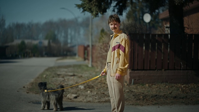 Video Reference: Dog, Tree, Carnivore, Pet supply, Plant, Collar, Fawn, Companion dog, Dog breed, Sky