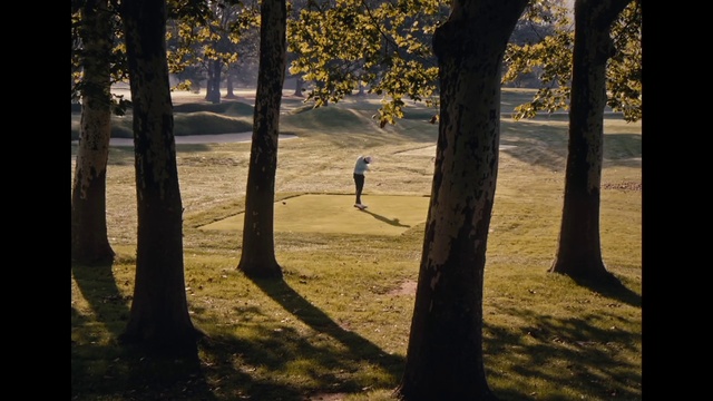 Video Reference: Plant, Atmosphere, People in nature, Natural landscape, Wood, Leaf, Shade, Tree, Branch, Trunk