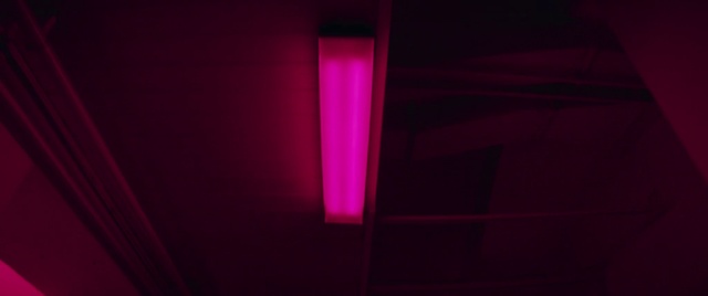 Video Reference: Purple, Rectangle, Violet, Pink, Tints and shades, Magenta, Symmetry, Electric blue, Pattern, Ceiling