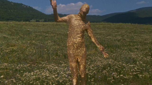 Video Reference: Sky, Cloud, People in nature, Gesture, Natural landscape, Happy, Grass, Agriculture, Wood, Grassland