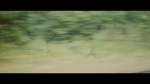 Video Reference: Wood, Rectangle, Natural landscape, Twig, Tints and shades, Tree, Landscape, Font, Grass, Grassland