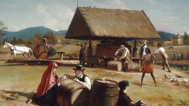 Video Reference: Cloud, Sky, Ecoregion, Water, Automotive tire, Working animal, House, Landscape, Rural area, Adaptation